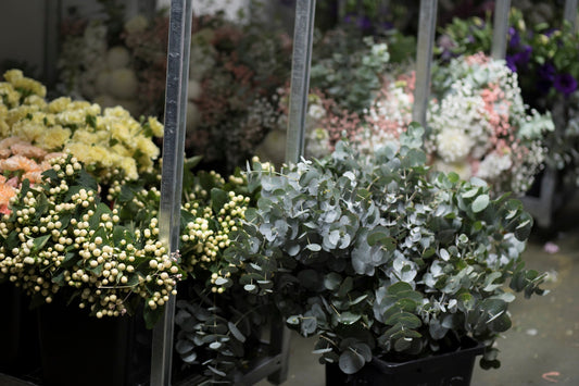 Buckets of fresh stems — carnations, hypericum and eucalyptus — lined up in the studio supply area