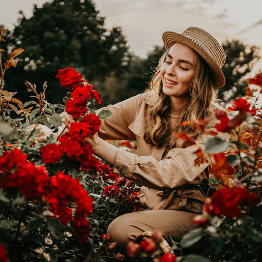Your Comprehensive Guide to Roses