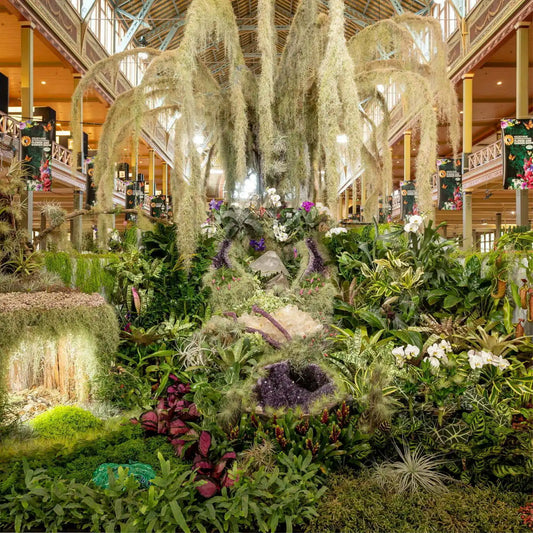A Florist’s Guide to The Melbourne International Flower and Garden Show