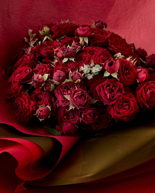 Against the Dozen Red Roses
