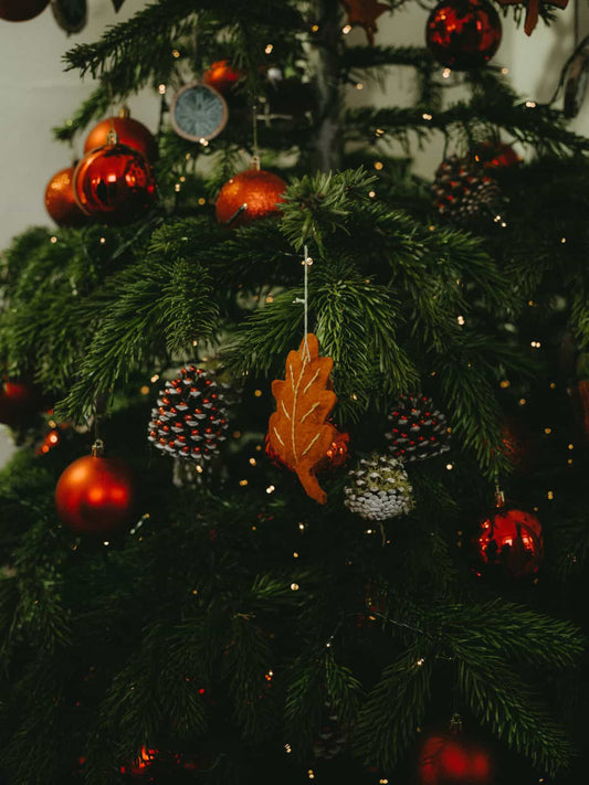 How to decorate your own real living mini Christmas tree