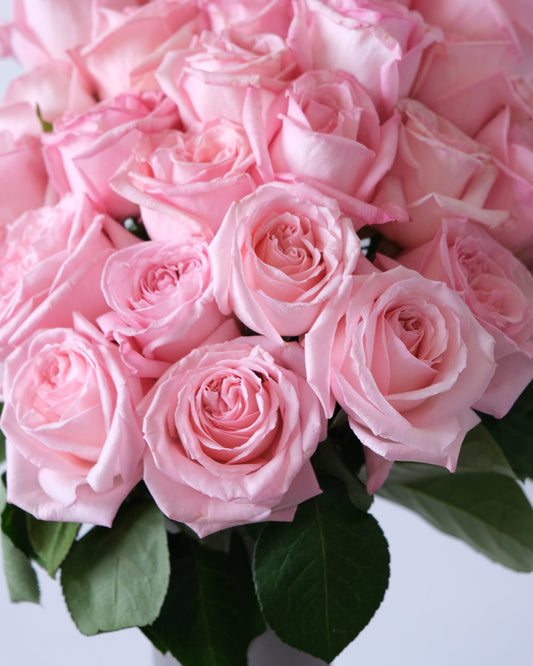 A full bouquet of soft pink roses with green foliage