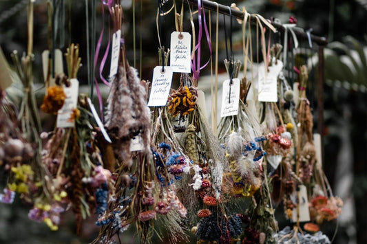 Small bunches of flowers hanging upside down to air dry