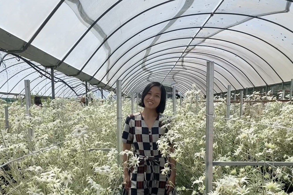 Shannon of Typoflora in a greenhouse of flannel flowers