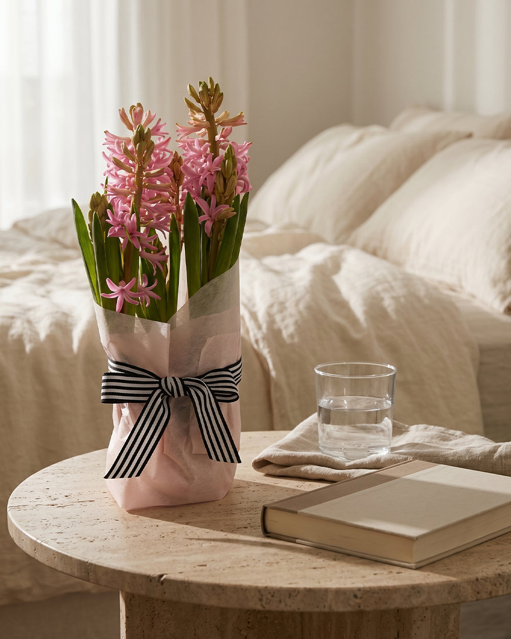 Potted Hyacinth - Light Pink