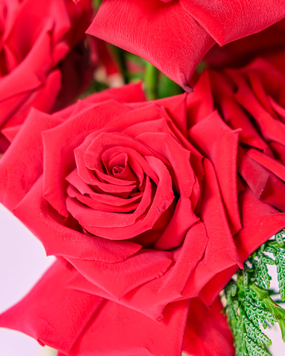 Lucky Bloom Vase Arrangement