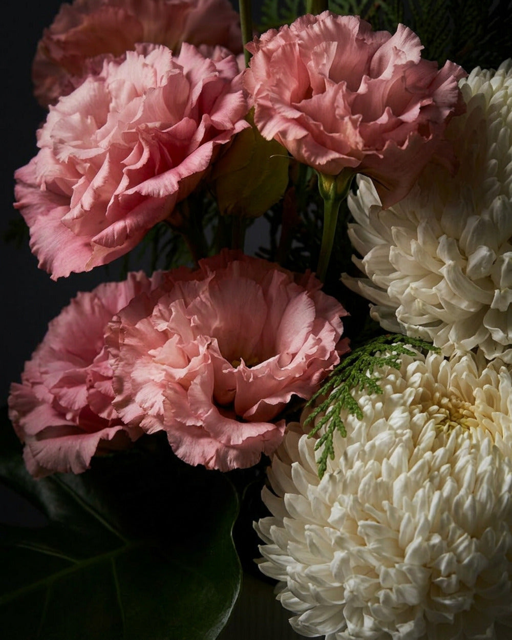 Monaco Arrangement Pink (Regular)