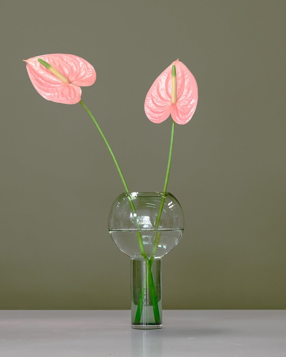 Anthurium in Balloon Vase