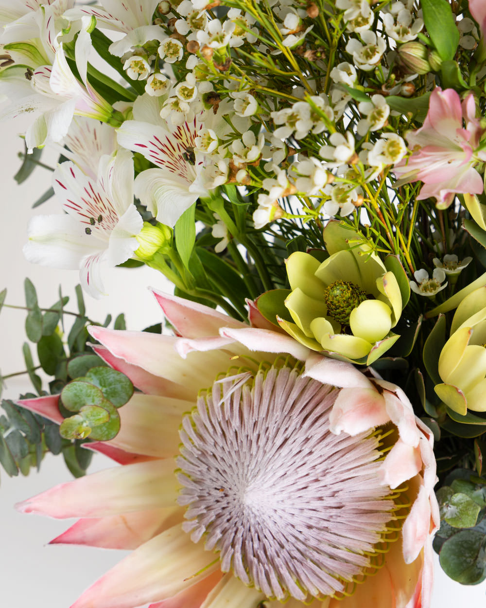 Bespoke Australian Natives