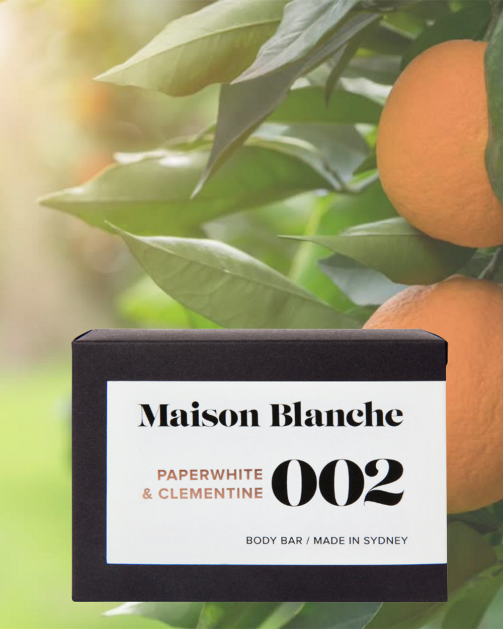 Paper and Clementine