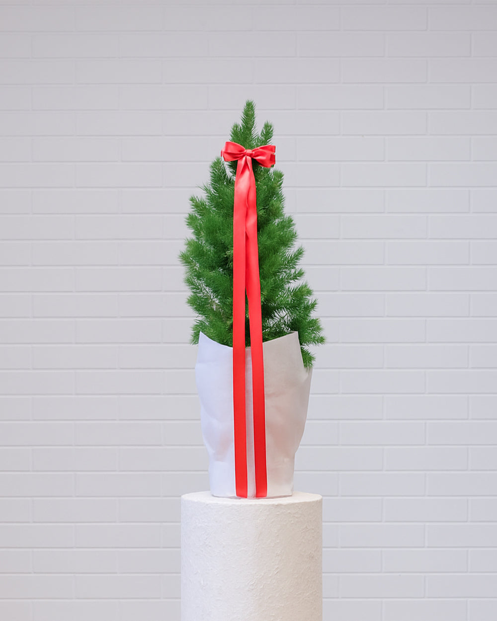 Medium Christmas Tree