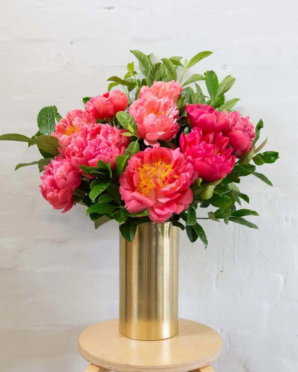 Coral Peonies