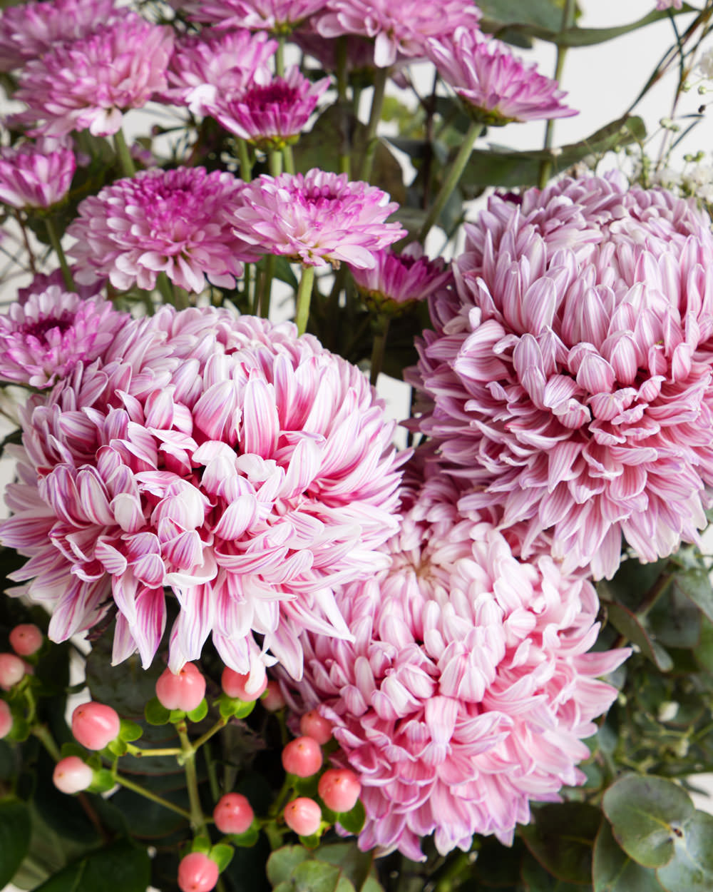 Flower Subscription - Pink Seasonal Blooms - Fig & Bloom