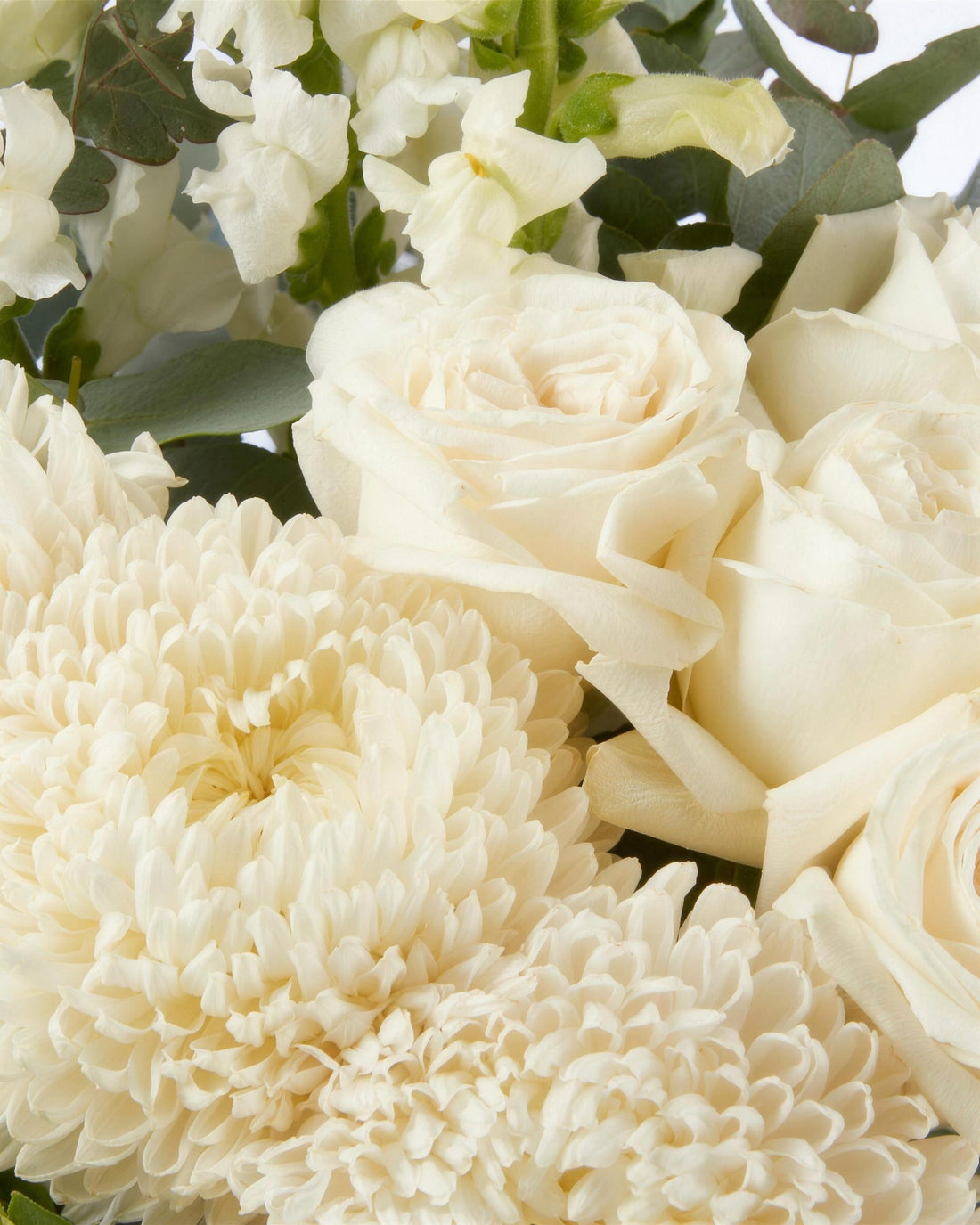 Lucerne Bouquet by Fig & Bloom, close-up of white roses and chrysanthemums