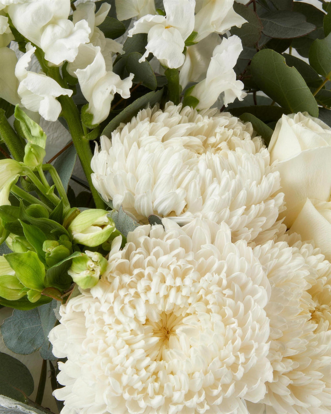 Lucerne Bouquet by Fig & Bloom, close-up of white chrysanthemums