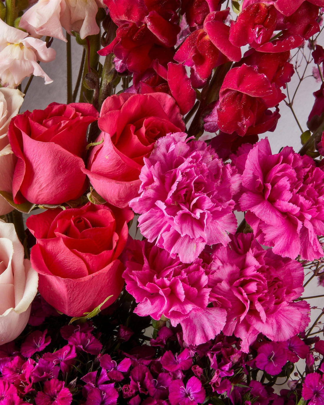 Marseille Bouquet by Fig & Bloom, close-up of carnations and roses