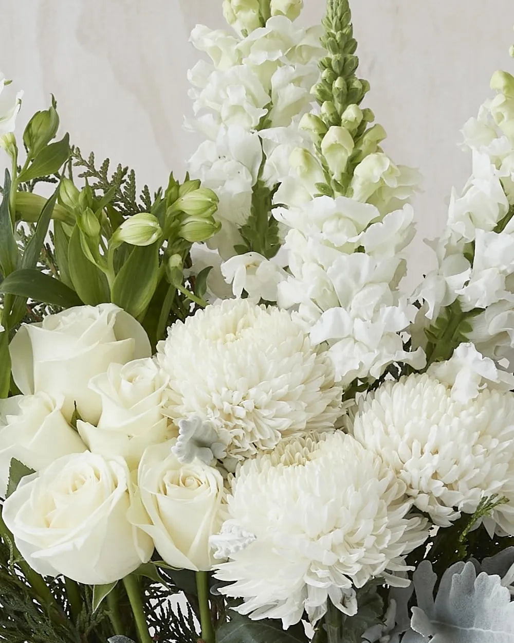 Monaco Arrangement White (Extra Large)