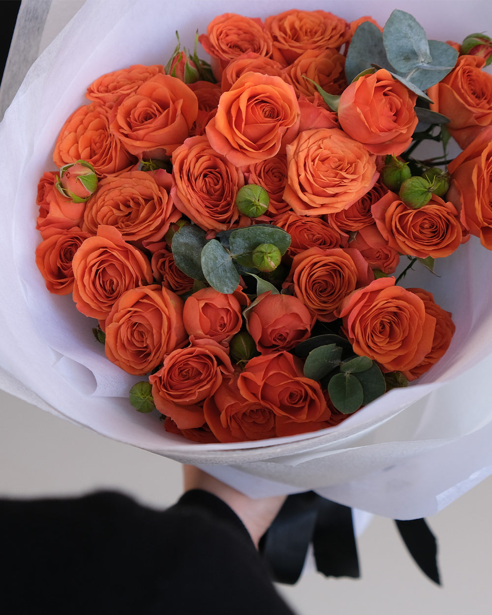 Palermo Spray Roses