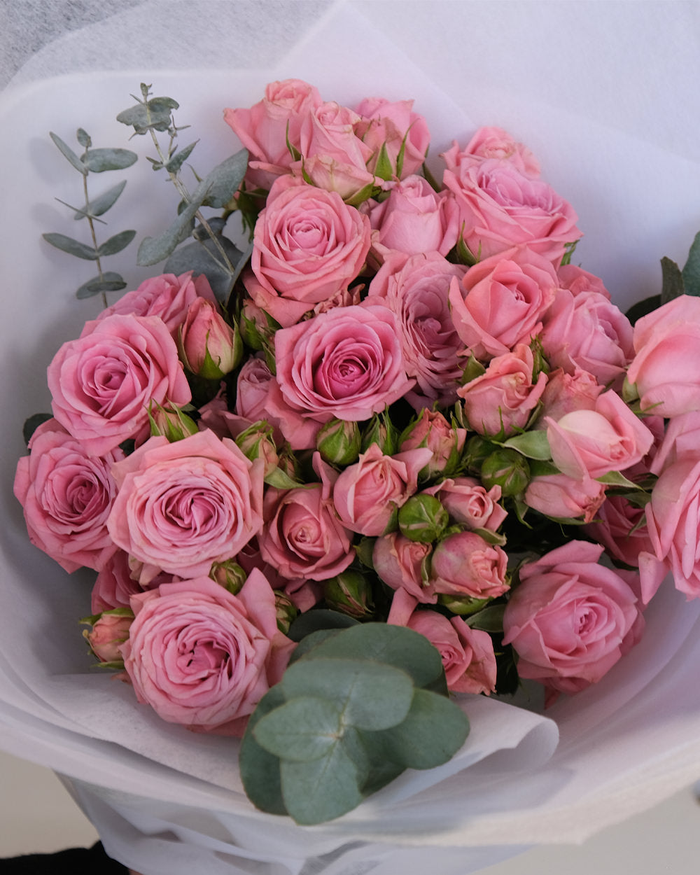 Palermo Spray Roses