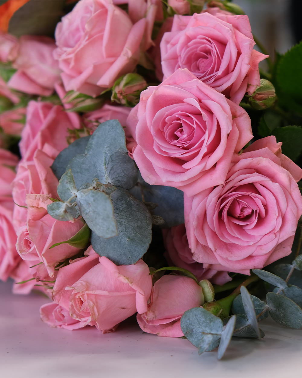 Palermo Spray Roses
