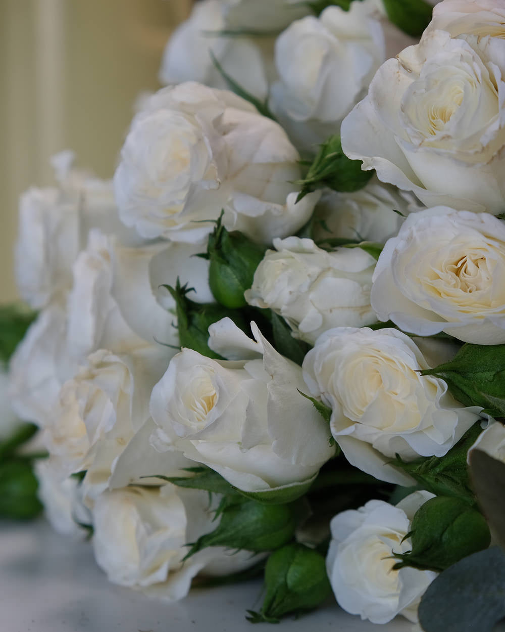 Palermo Spray Roses