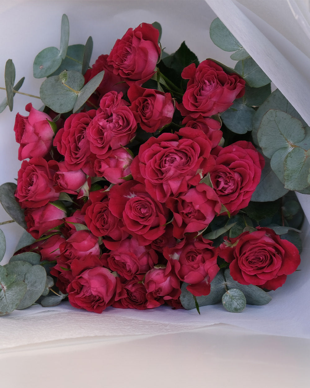 Palermo Spray Roses