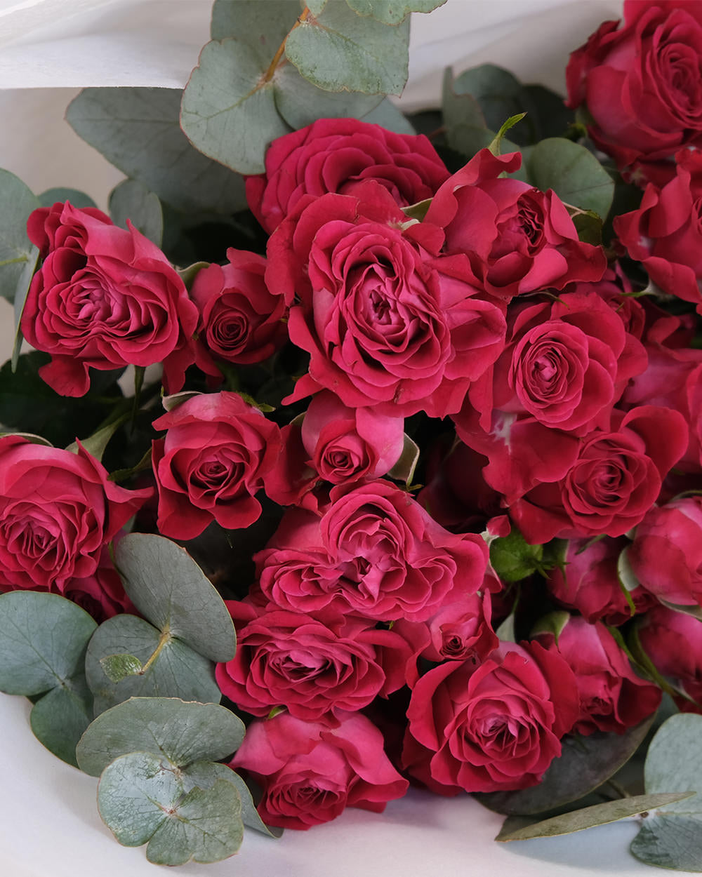 Palermo Spray Roses
