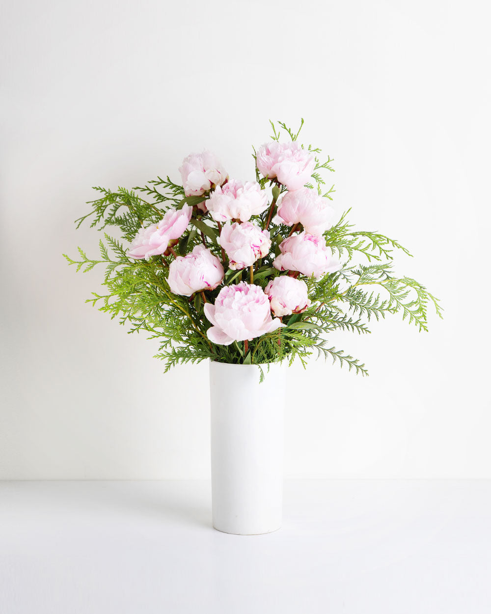 Peony Rose Sarah Bernhardt