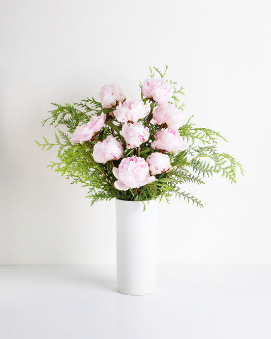 Peony Rose Sarah Bernhardt