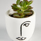 Succulent “Crassula Ovata” in Face Pot (60mm)