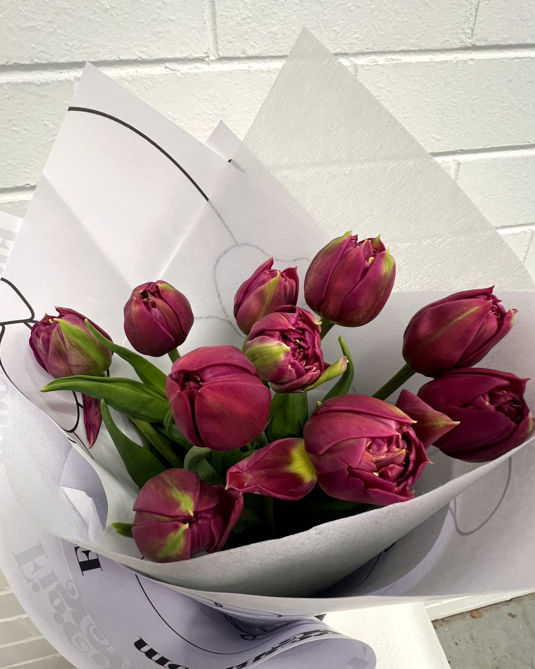 Amsterdam — magenta double tulips in Fig & Bloom wrap