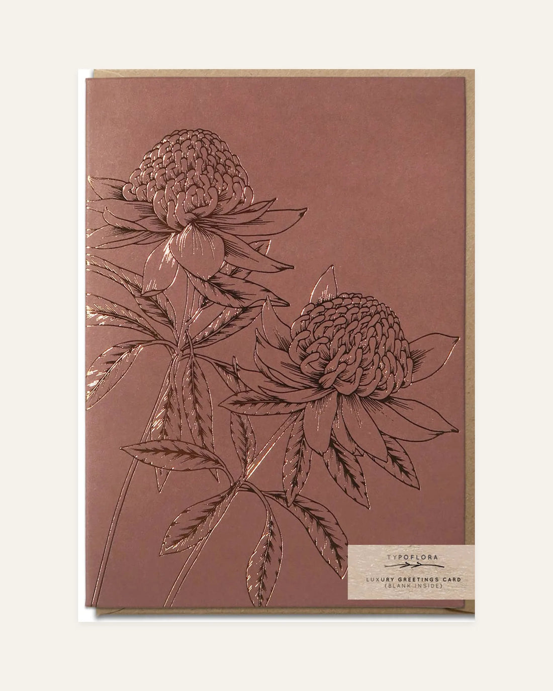 brown waratah card front design