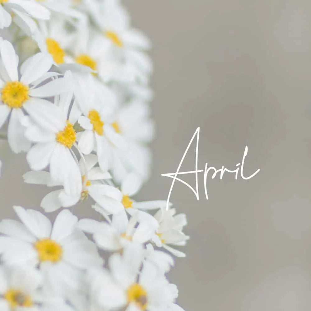 April Birth Flower: What is the Birth Flower for April?