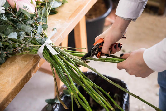 Moving towards sustainable floristry