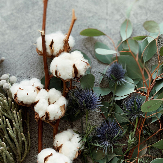 Dried Flower Bouquets