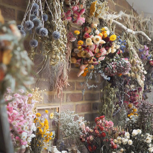 Star Sign Blooms: Dried Flowers for Every Zodiac