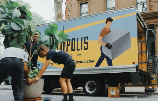 How to move house with your plants