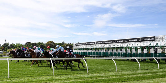 Let’s celebrate Melbourne Cup Carnival at home in style!