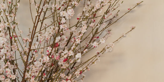 Flowering blossom branches in a ceramic vase against a pale wall