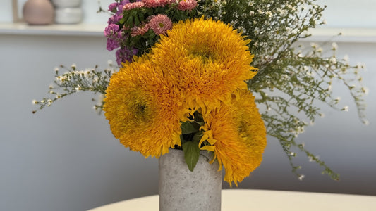 Teddy bear sunflowers with pink asters and white filler in a stone vase, Fig & Bloom studio