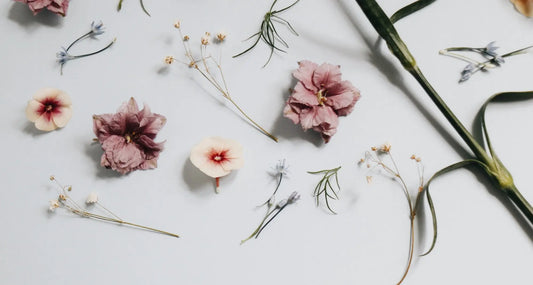 How to Make Flower Food at Home