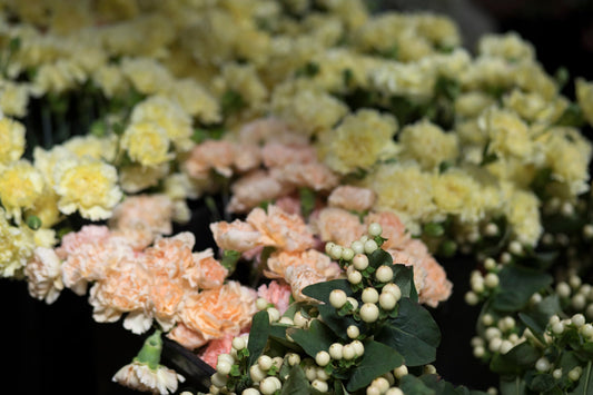 A close-up of peach and yellow carnations with white hypericum berries and green foliage