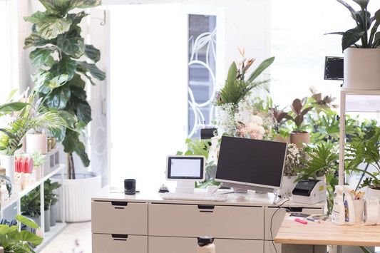 The Sydney studio in daylight, with plants, a counter and the bench where orders are taken