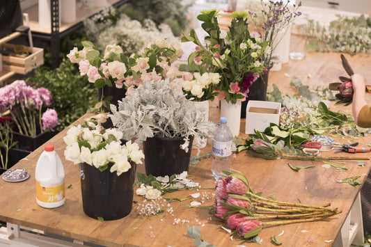 Protea, eucalyptus and dusty miller on a Sydney studio bench, with a hand holding a stem