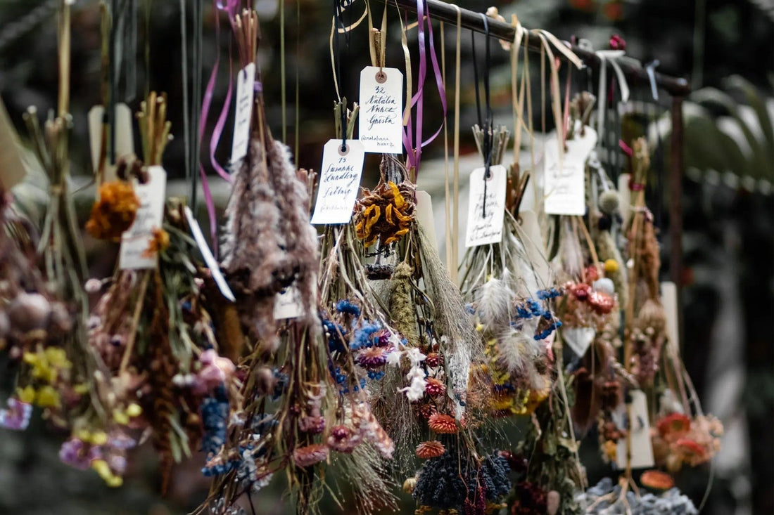 Small bunches of flowers hanging upside down to air dry