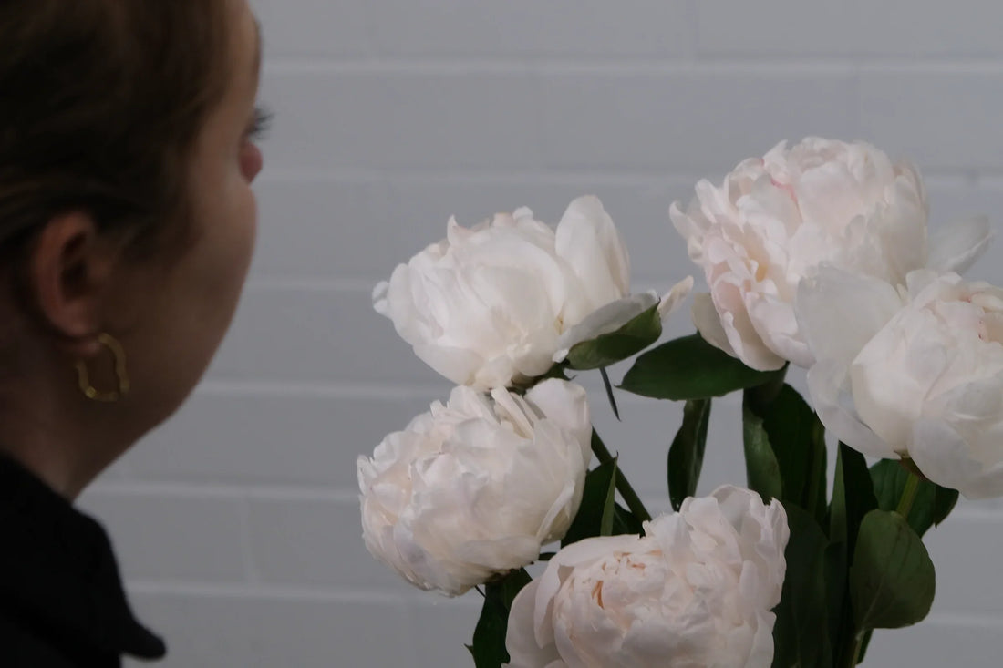Arranging pale pink peonies at home