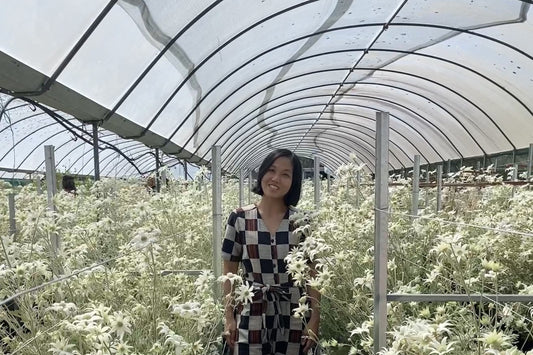 Shannon of Typoflora in a greenhouse of flannel flowers