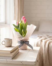 Potted Tulip - Pink