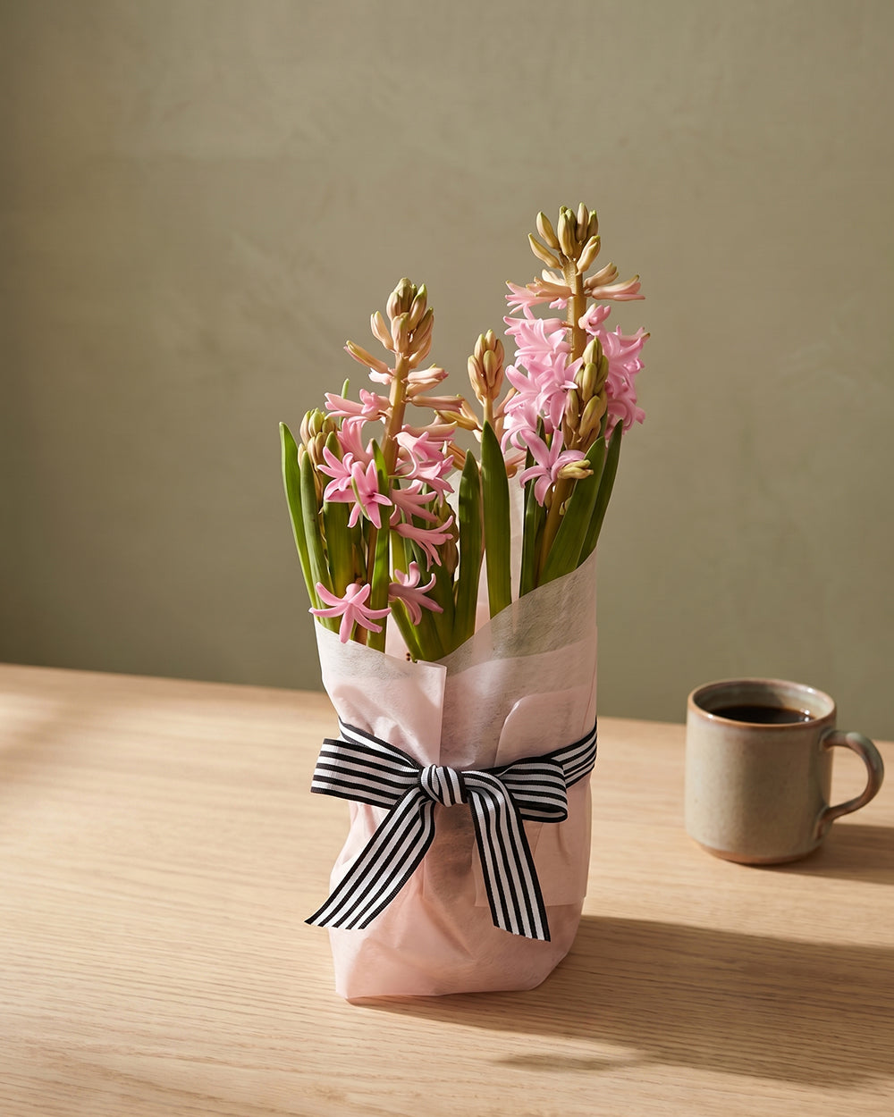 Potted Hyacinth - Light Pink