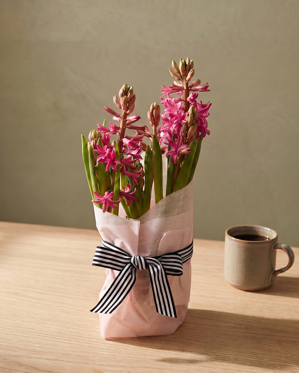 Potted Hyacinth - Dark Pink